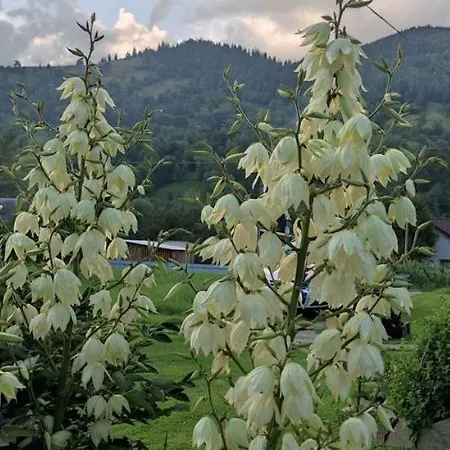 Appartement комфортне в криворівні *