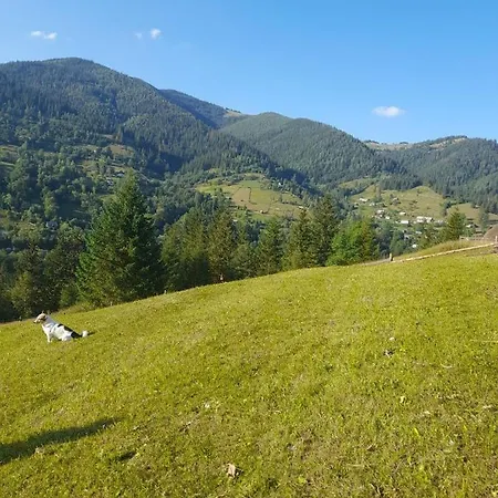 Appartement комфортне в криворівні *