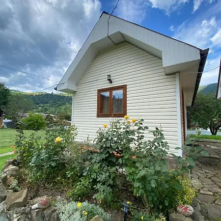 Appartement комфортне в криворівні