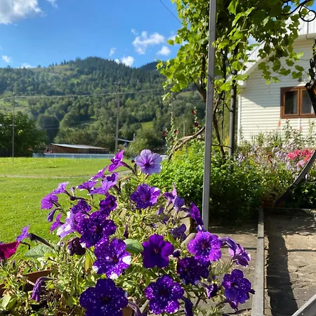 комфортне в криворівні Appartement