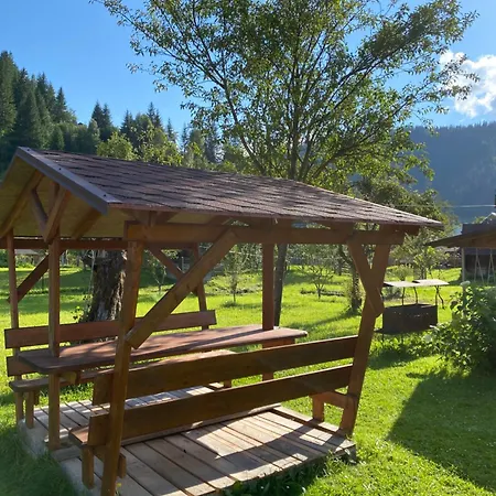 Appartement комфортне в криворівні *