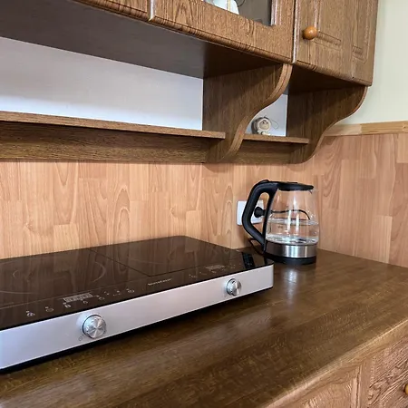 Appartement комфортне в криворівні Krivorovnya